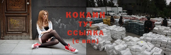 соль курить ск Дмитриев
