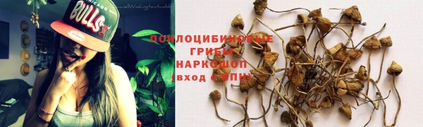 трава Дмитровск