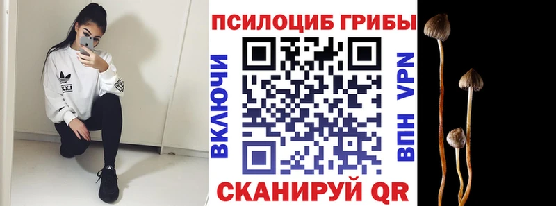 Псилоцибиновые грибы прущие грибы  Радужный 