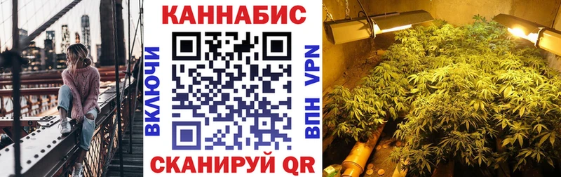 Бошки Шишки White Widow  где продают   Радужный 